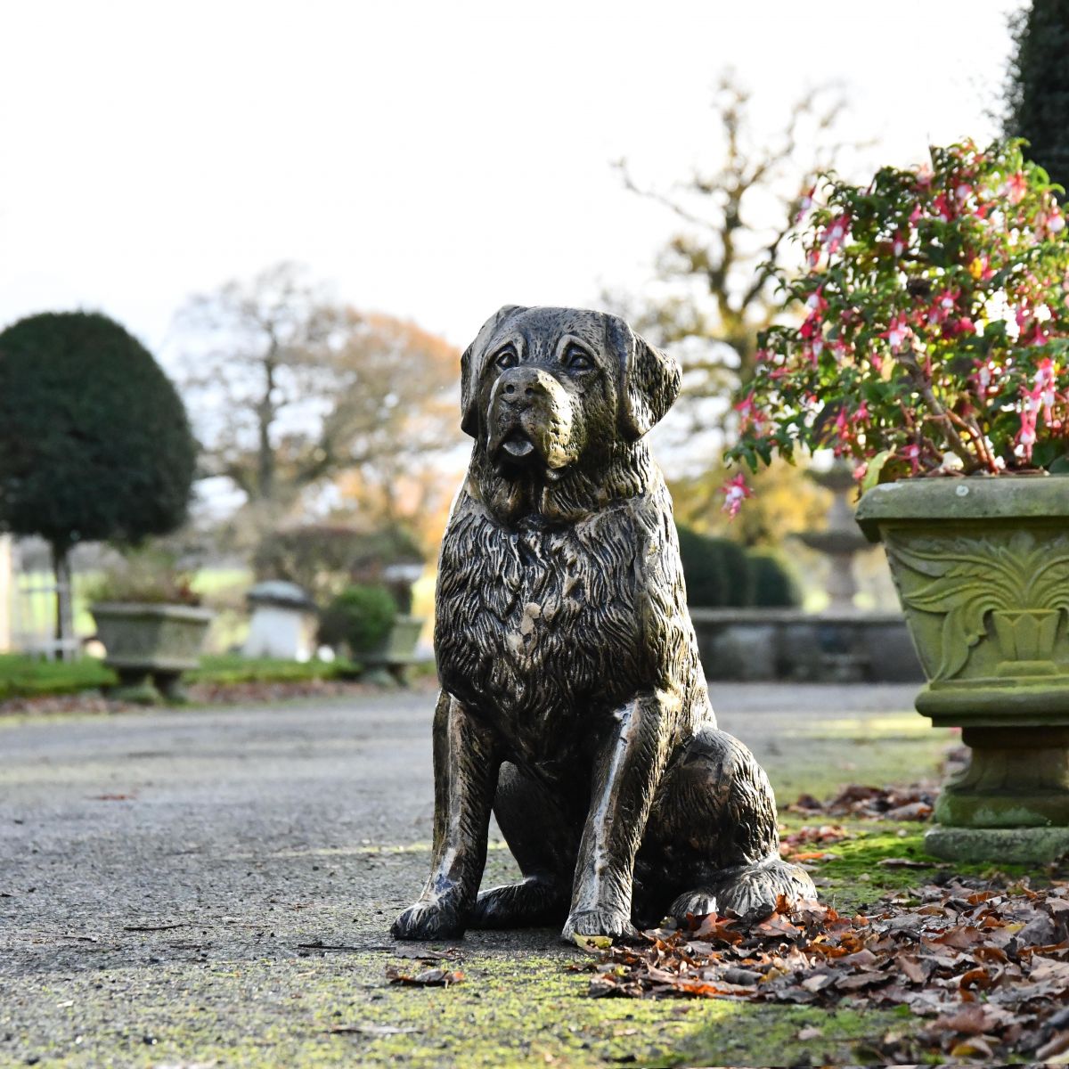 St. Bernard Puppy Antique Gold Sculpture in Situ St. Bernard Puppy Antique Gold Sculpture in Situ