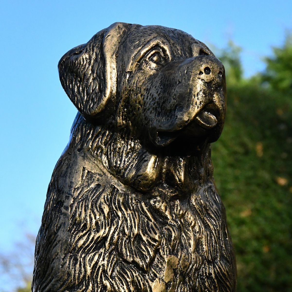 View of St. Bernard Sculpture neck and face View of St. Bernard Sculpture neck and face