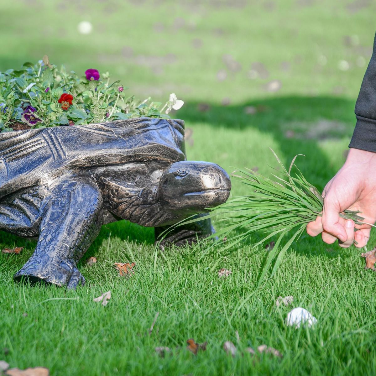 Antique Gold Tortoise Planter in Garden