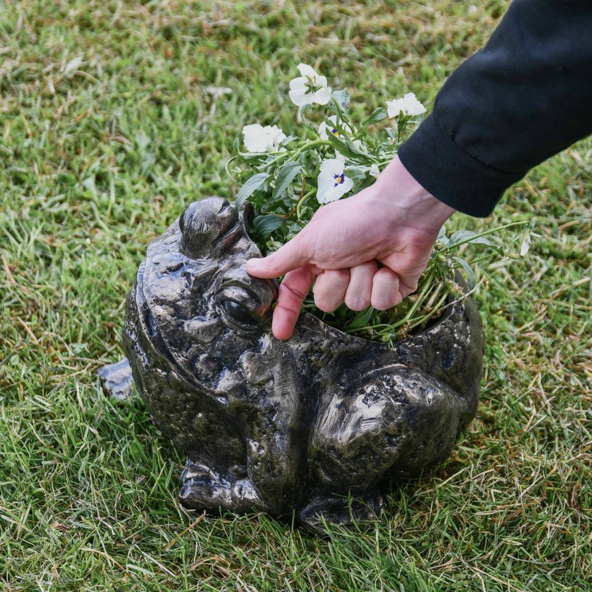 Back of Bullfrog Planter with Plant 