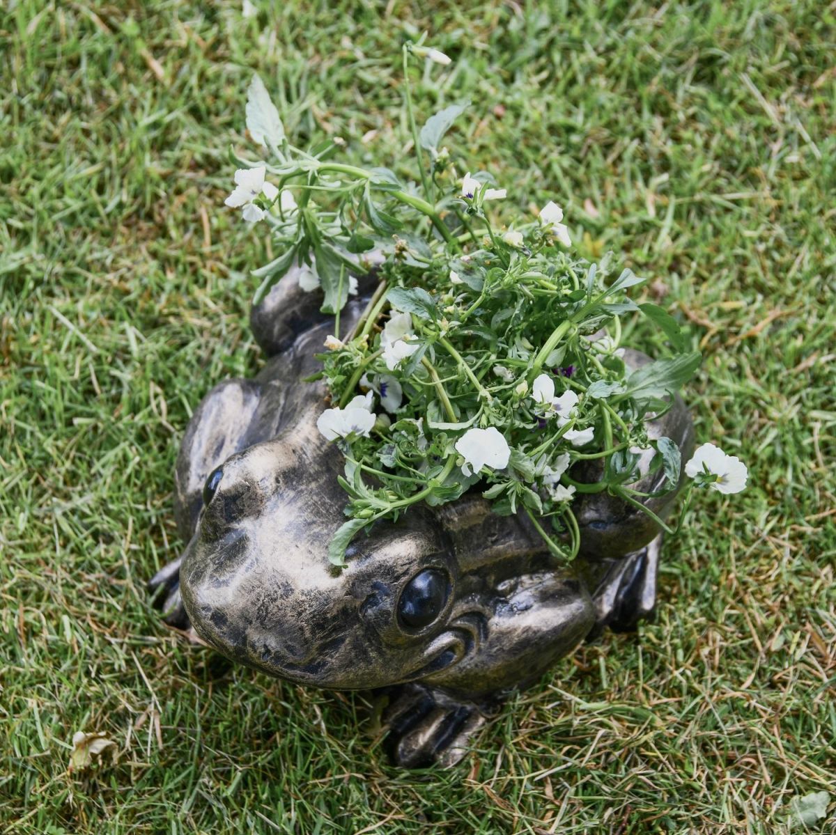 Antique Gold Toad Planter with Plants  Antique Gold Toad Planter with Plants