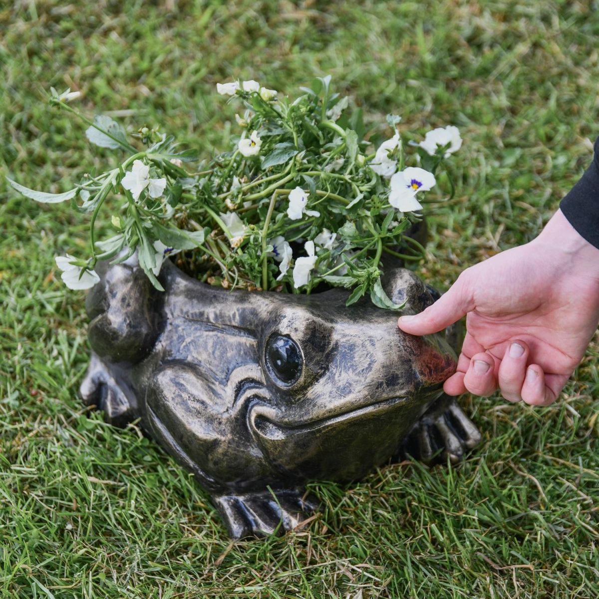 Antique Gold Toad Planter with Hand for Scale  Antique Gold Toad Planter with Hand for Scale