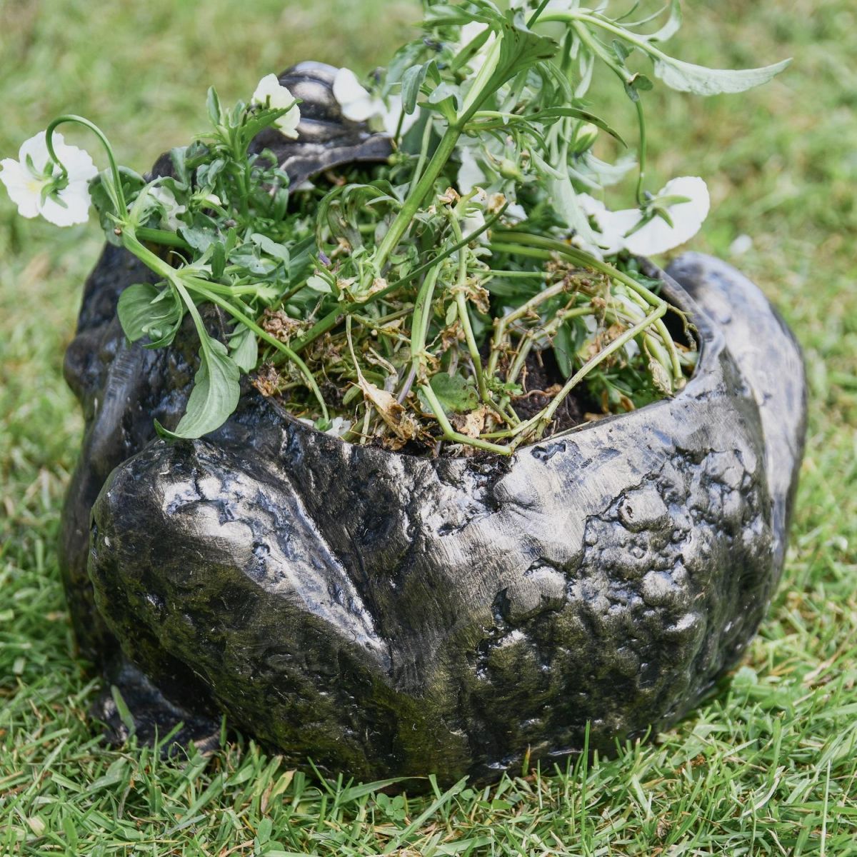 Rear view of Bullfrog Planter 