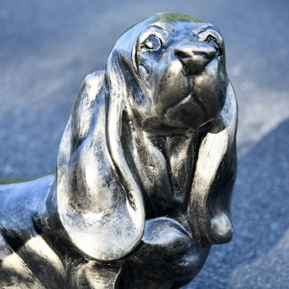 Close up of Basset Hound Face and Body  Close up of Basset Hound Face and Body