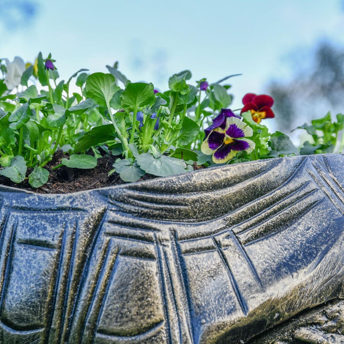 Close-up of the Antique Bronze Finish on the Tortoise Planter Close-up of the Antique Bronze Finish on the Tortoise Planter