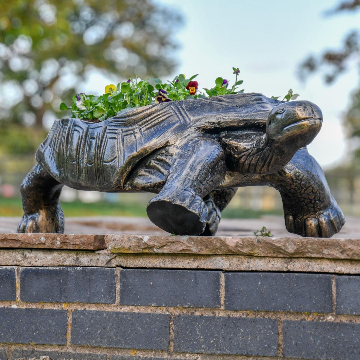 Antique Bronze Tortoise Planter in Situ on a Patio Antique Bronze Tortoise Planter in Situ on a Patio
