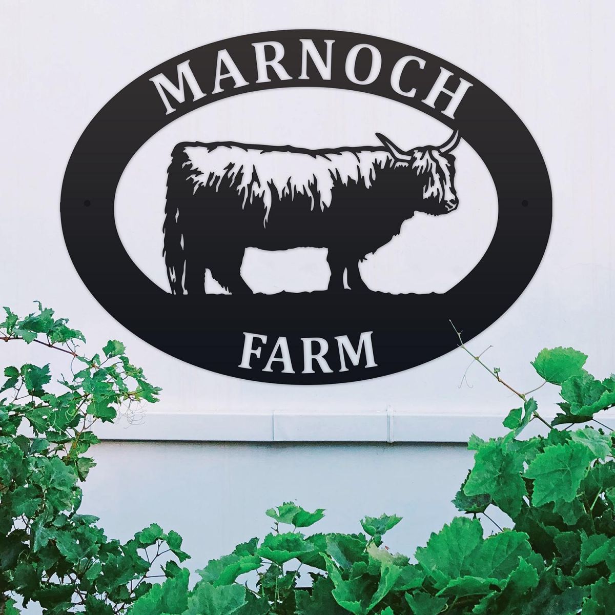 Highland Cow Iron Oval House Sign on a White Wall
