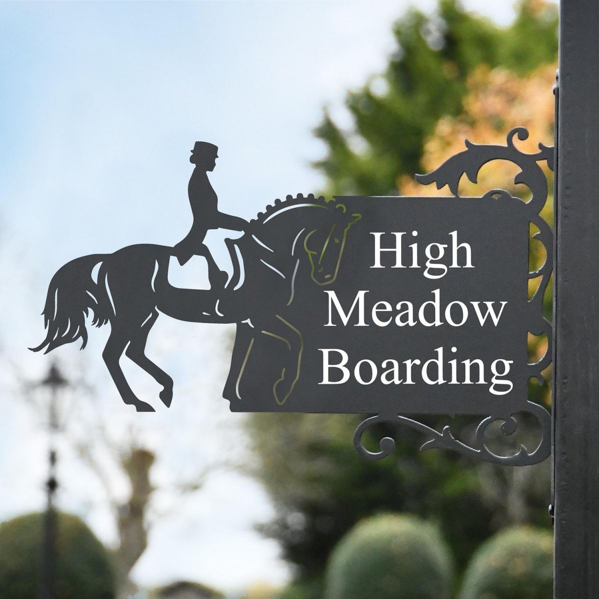 Dressage Horse Name Sign Name Sign 