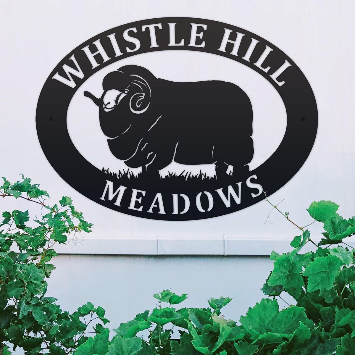 Merino Sheep Iron Oval House Sign on a White Wall Merino Sheep Iron Oval House Sign on a White Wall