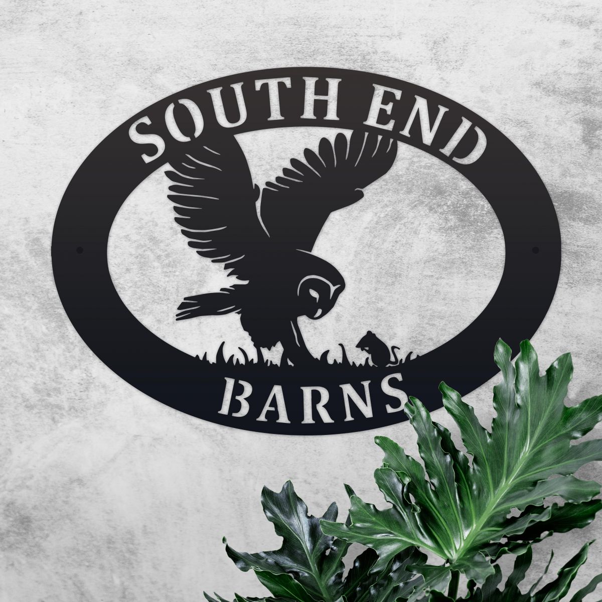 Barn Owl Name Sign in Situ 