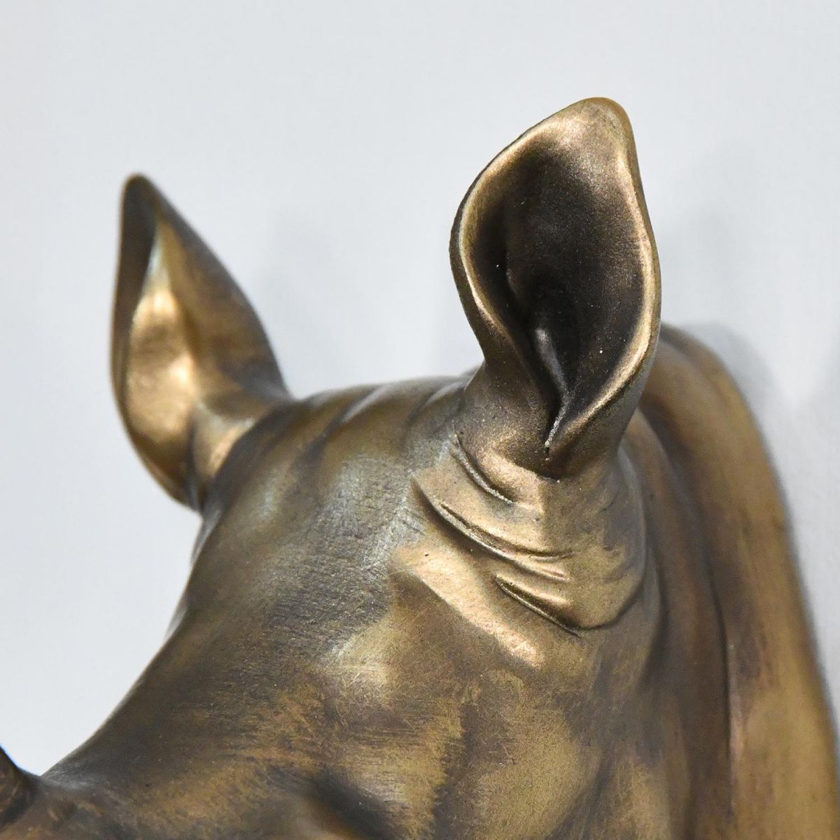 Close up of Rhino ears  Close up of Rhino ears