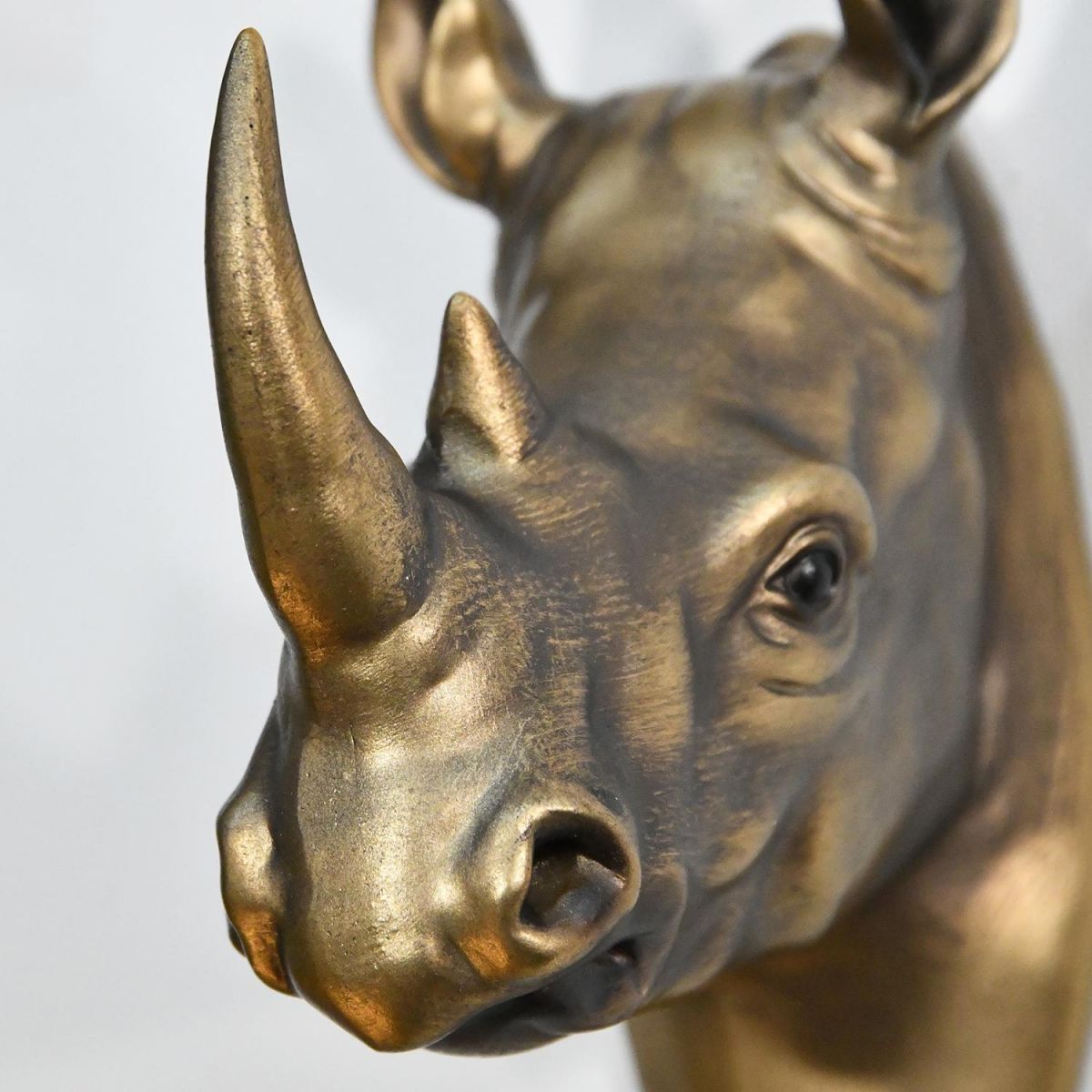 Close up of Rhino Hook  Close up of Rhino Hook