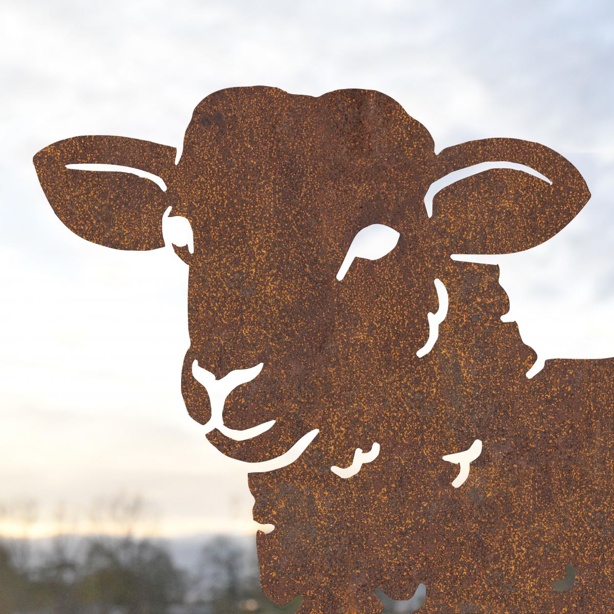 Close up of face on rustic curly lamb silhouette 