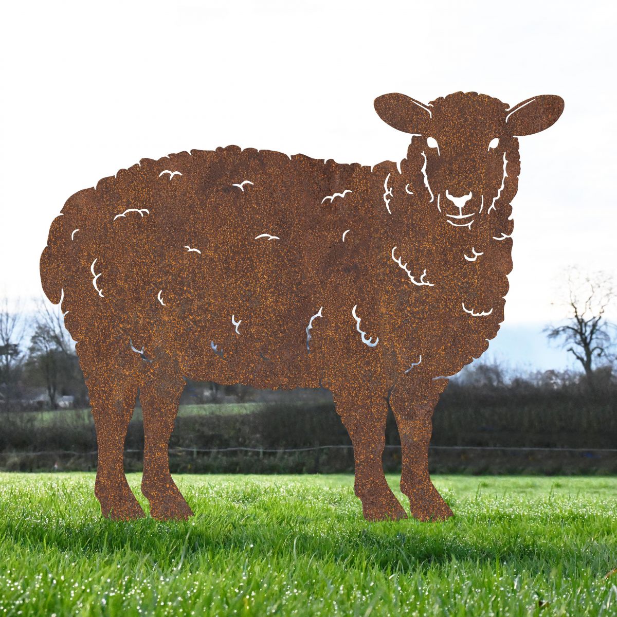 Curly Sheep Silhouette in Rustic Finish 