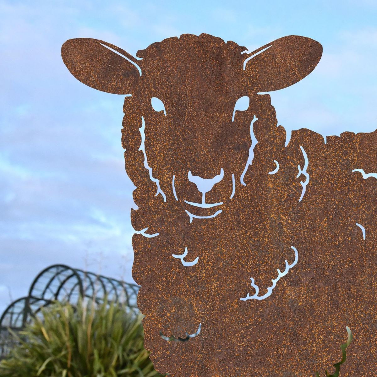 Close up of face on Curly Sheep Silhouette 