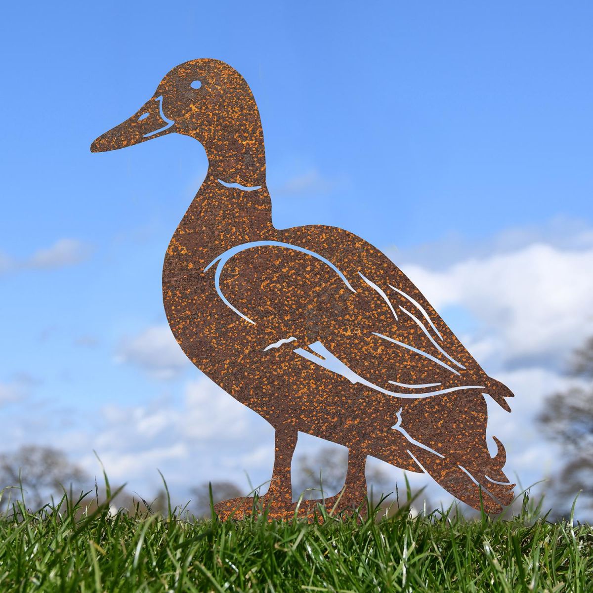 Rustic Mallard Drake Silhouette in Use Outdoors