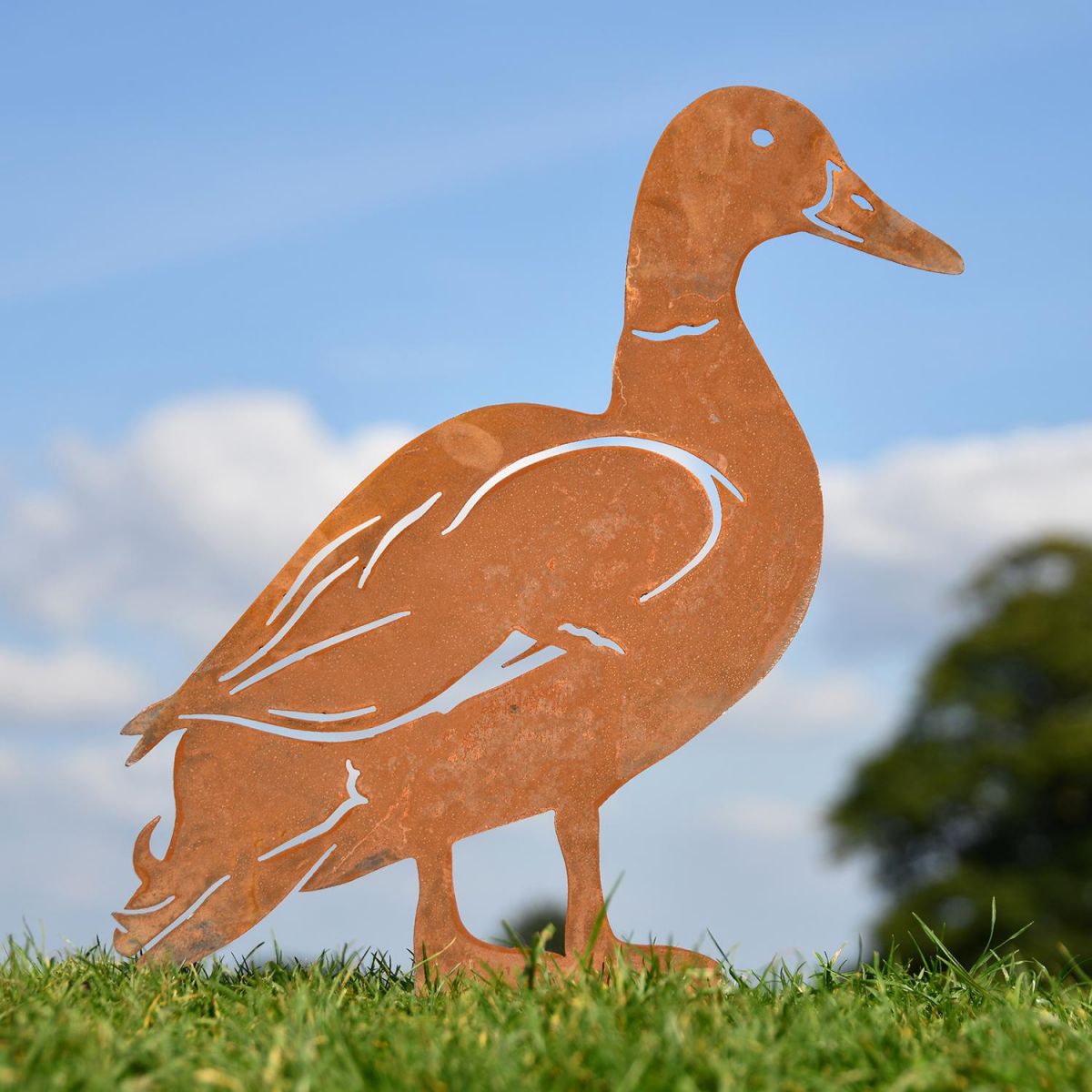 Rustic Mallard Drake Silhouette in Situ