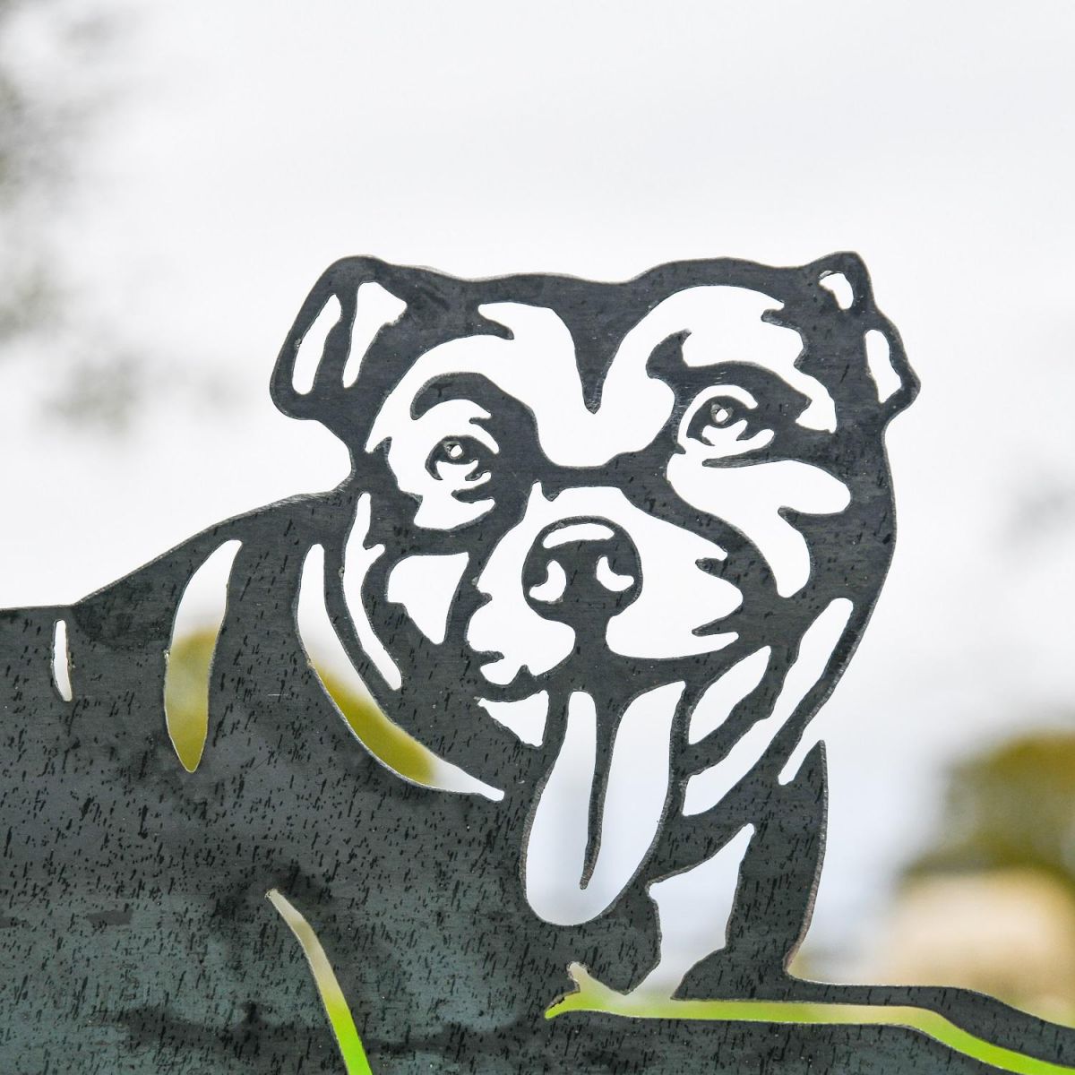 Close up of cut out detailing on Staffordshire Bull Terrier Head Close up of cut out detailing on Staffordshire Bull Terrier Head