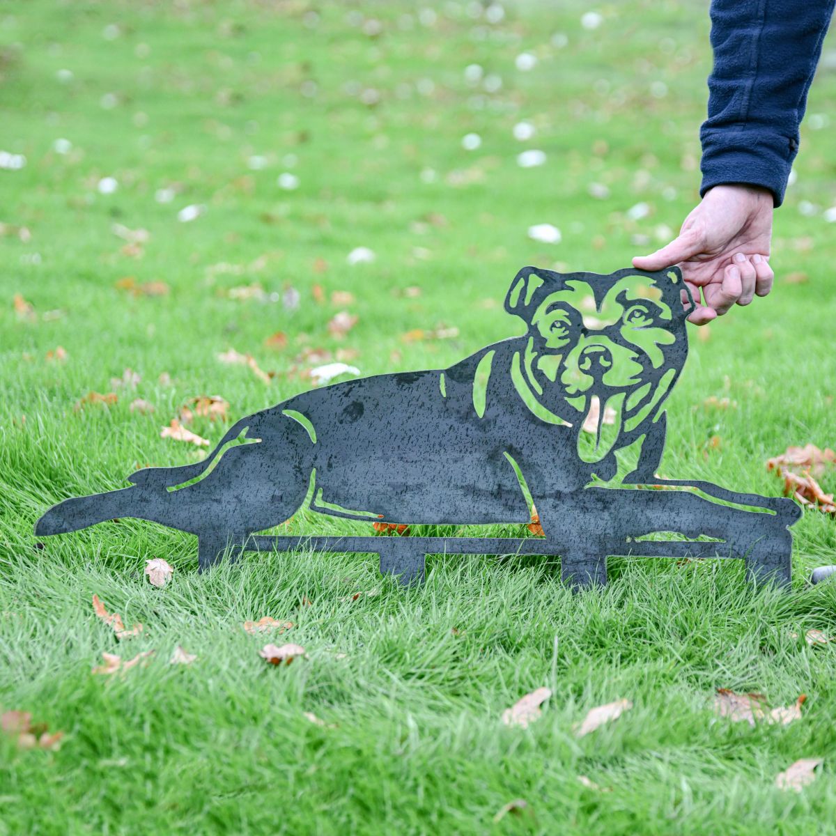 Unfinished Metal Staffordshire Bull Terrier Silhouette in Garden Unfinished Metal Staffordshire Bull Terrier Silhouette in Garden