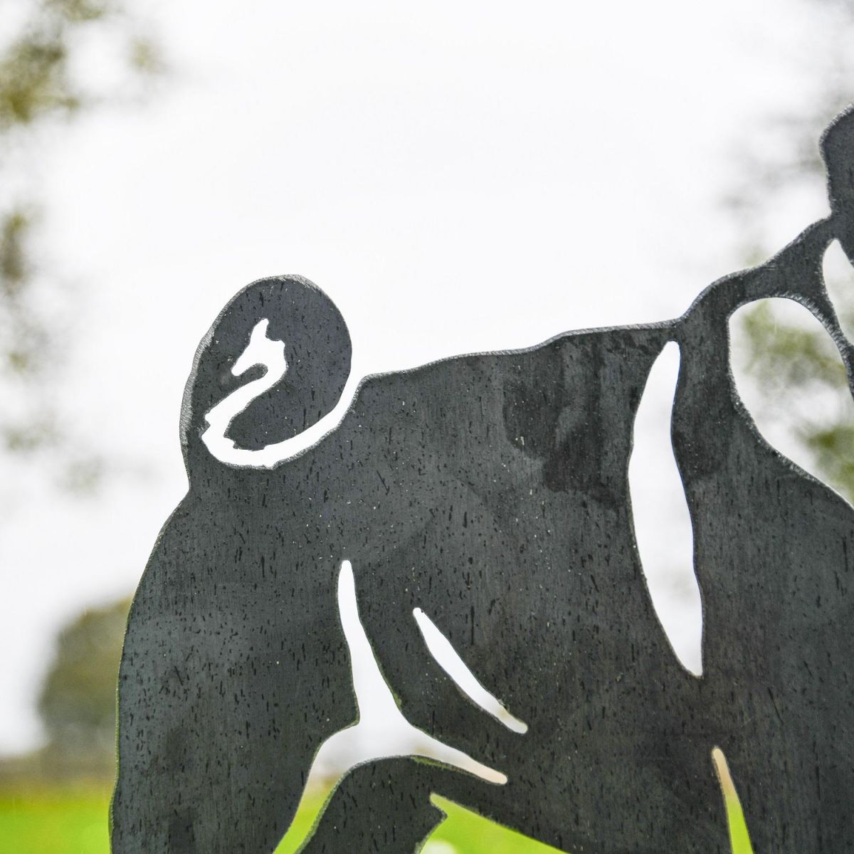 Close up of pug tail 