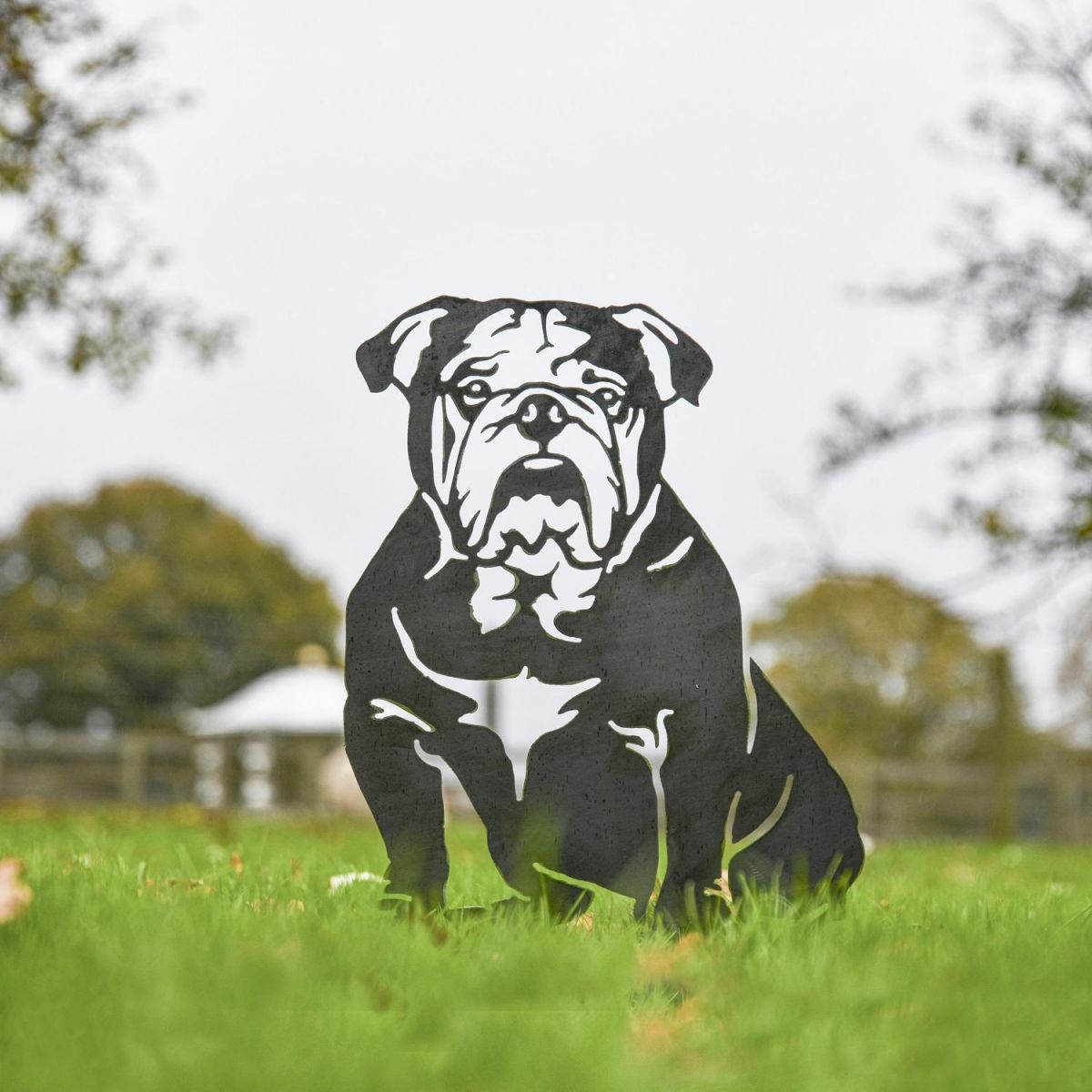 English Bulldog Garden Silhouette Outside 
