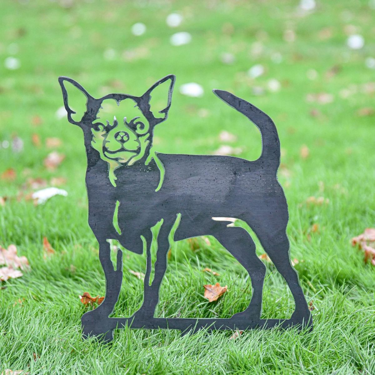 Chihuahua Silhouette in Garden