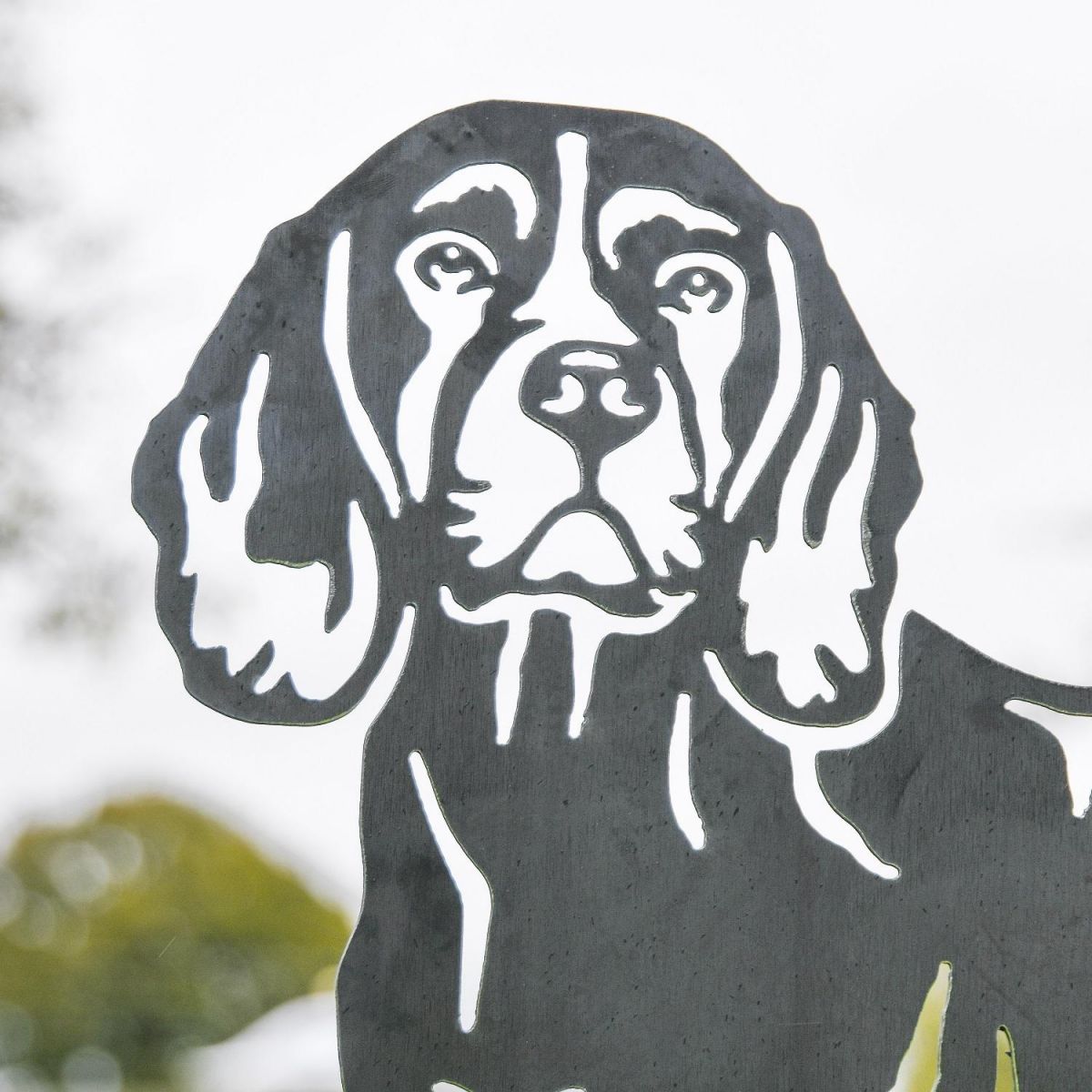 Close up of Beagle Head on Silhouette 
