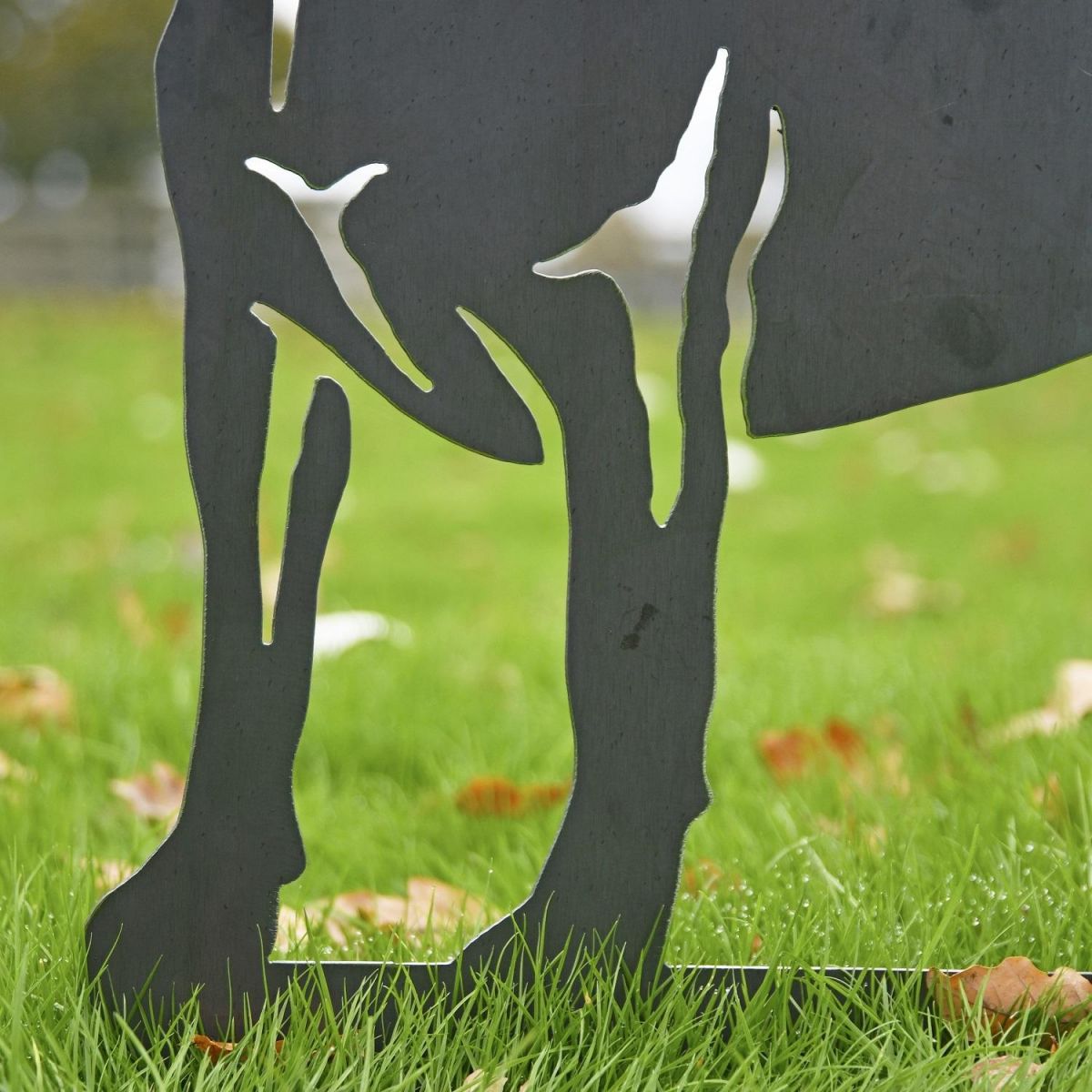 Close up of Beagle Silhouette Legs 