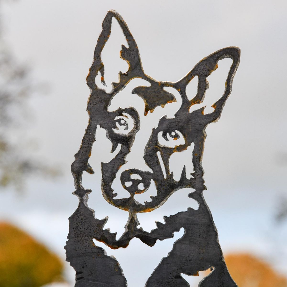 Close up of German Shepherd Head 