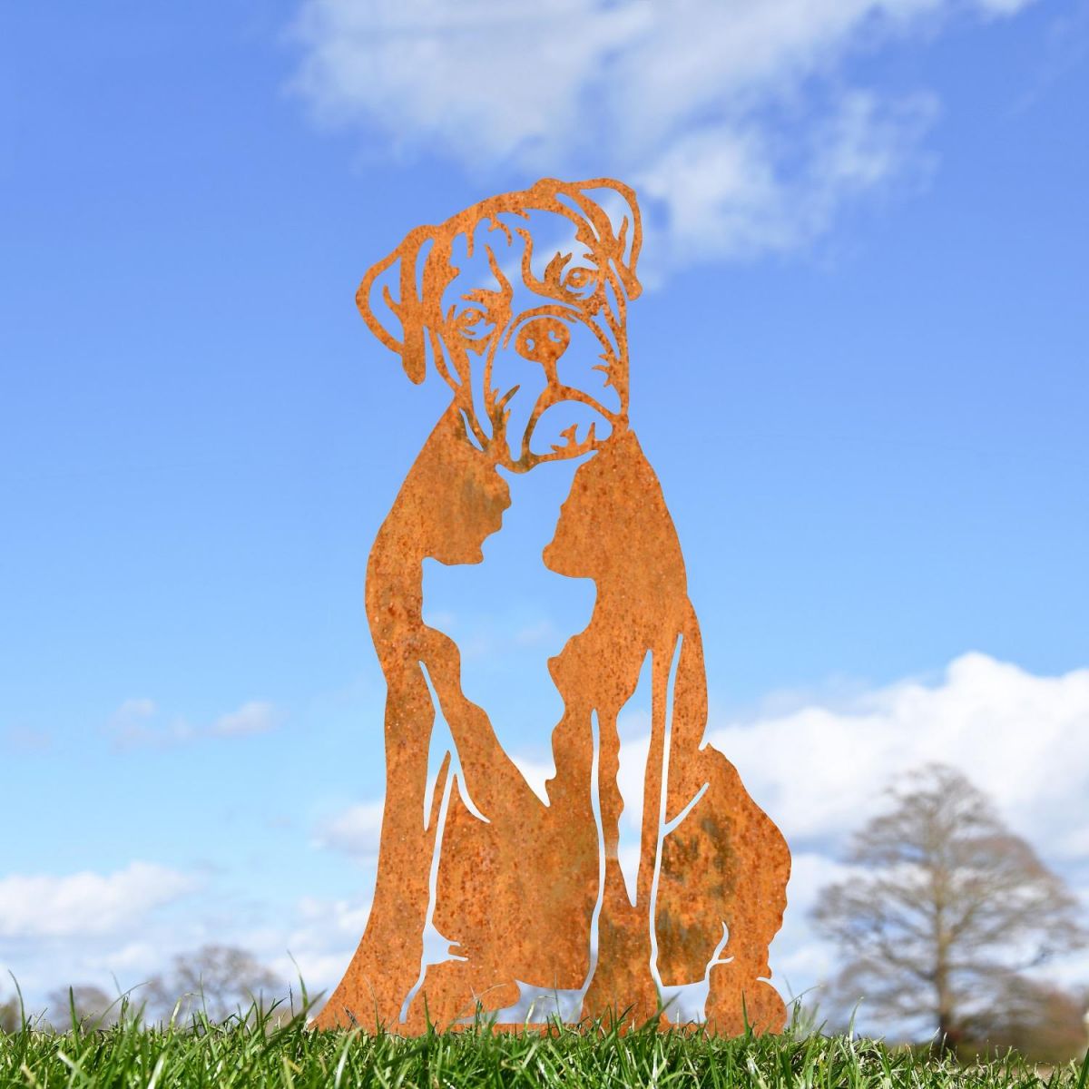 Rustic Boxer Silhouette Outside