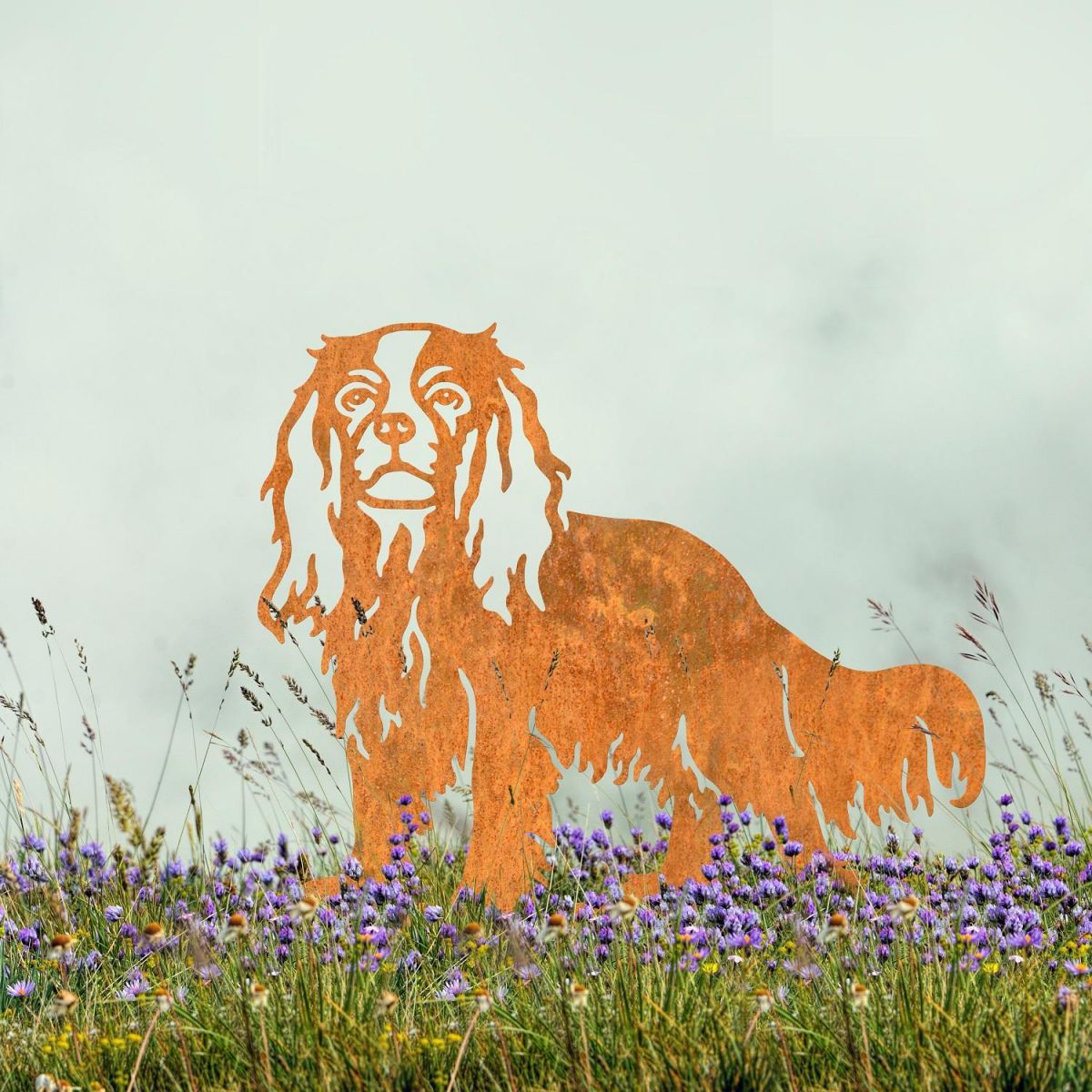 Rustic Cavalier King Charles Spaniel Silhouette Outside Rustic Cavalier King Charles Spaniel Silhouette Outside