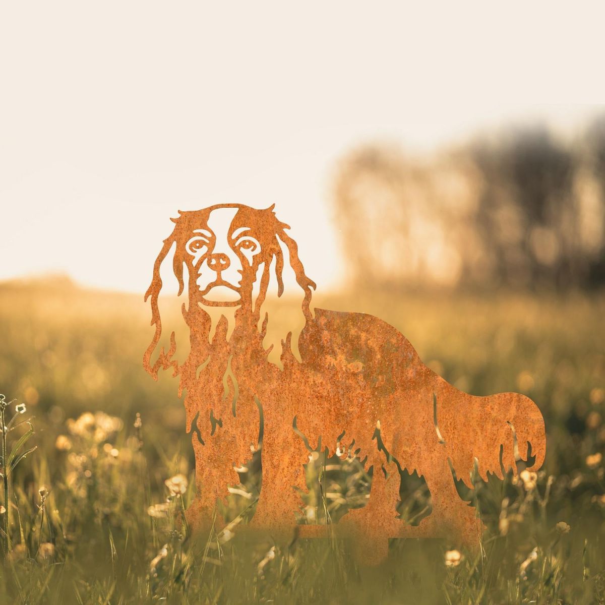 Rustic Cavalier King Charles Spaniel Silhouette in Garden Rustic Cavalier King Charles Spaniel Silhouette in Garden