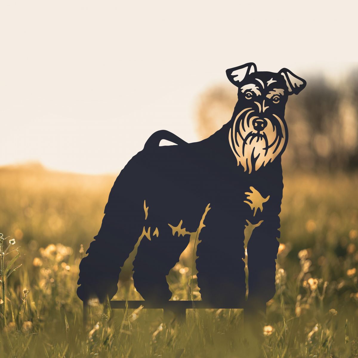 Black Mini Schnauzer Silhouette in Garden 