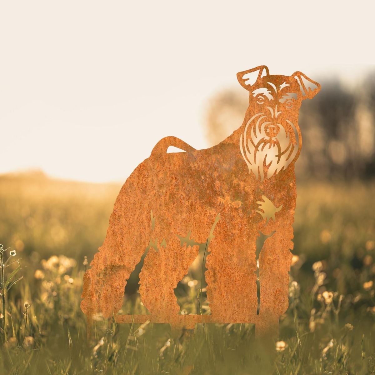 Rustic Finish Miniature Schnauzer 