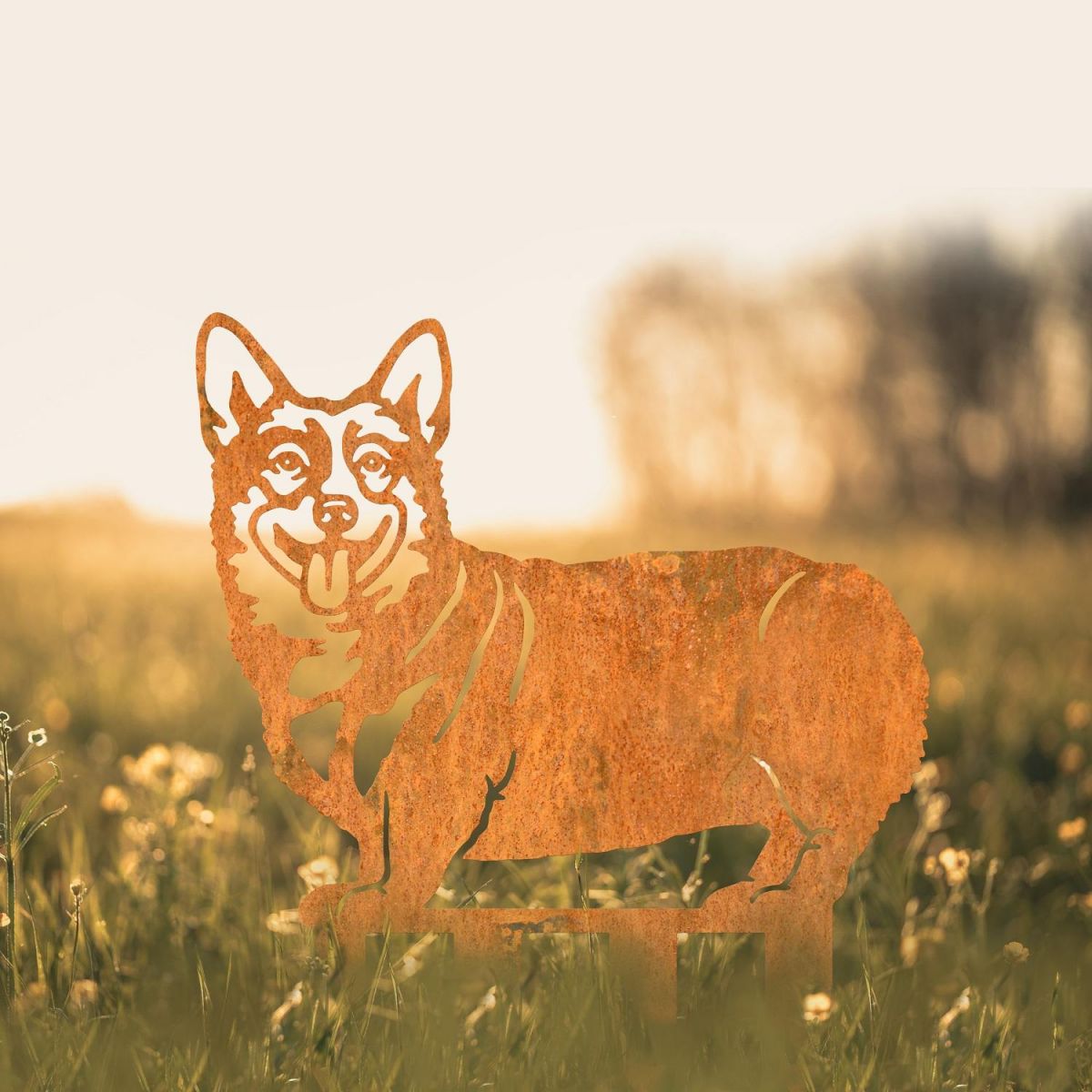 Rustic Finish Welsh Corgi (Pembroke) Silhouette in Garden 