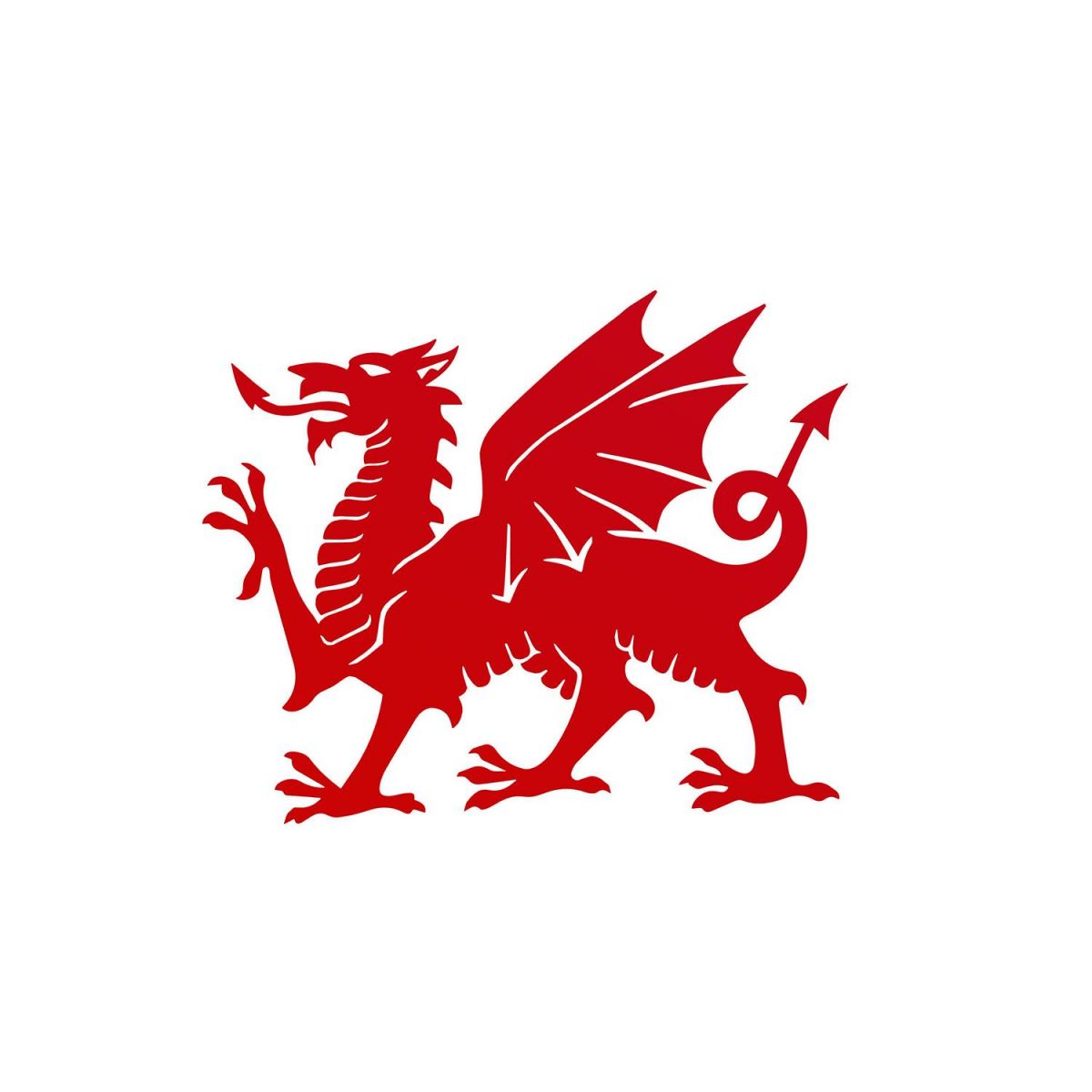 Red Welsh Dragon Wall Art - 60cm