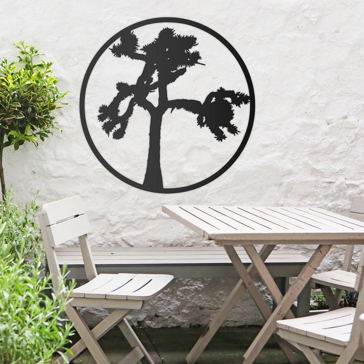 Joshua Tree Wall Art in Situ Outdoors  Joshua Tree Wall Art in Situ Outdoors