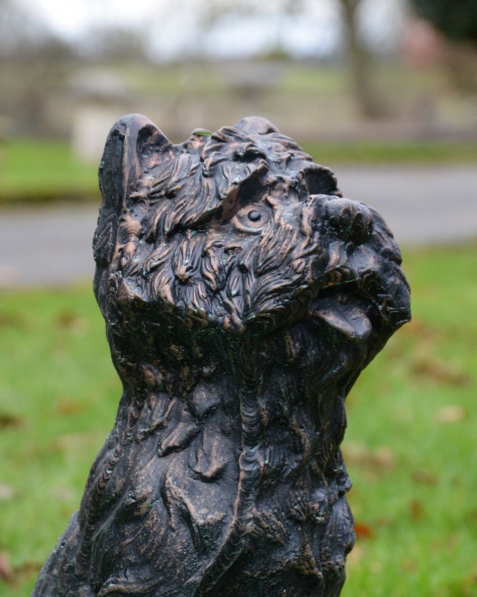 ‘Baxter’ the Yorkshire Terrier Garden Sculpture in Cast Aluminium - Verdigris close up of head