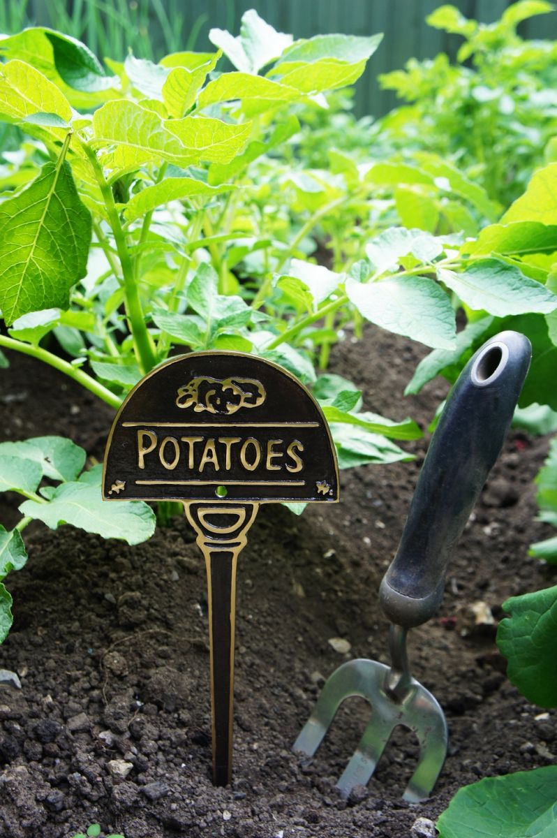 Vegetable Label - Potatoes