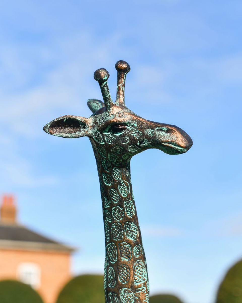 Close up of Verdigris Giraffe Cast Aluminium Sculpture Head Close up of Verdigris Giraffe Cast Aluminium Sculpture Head