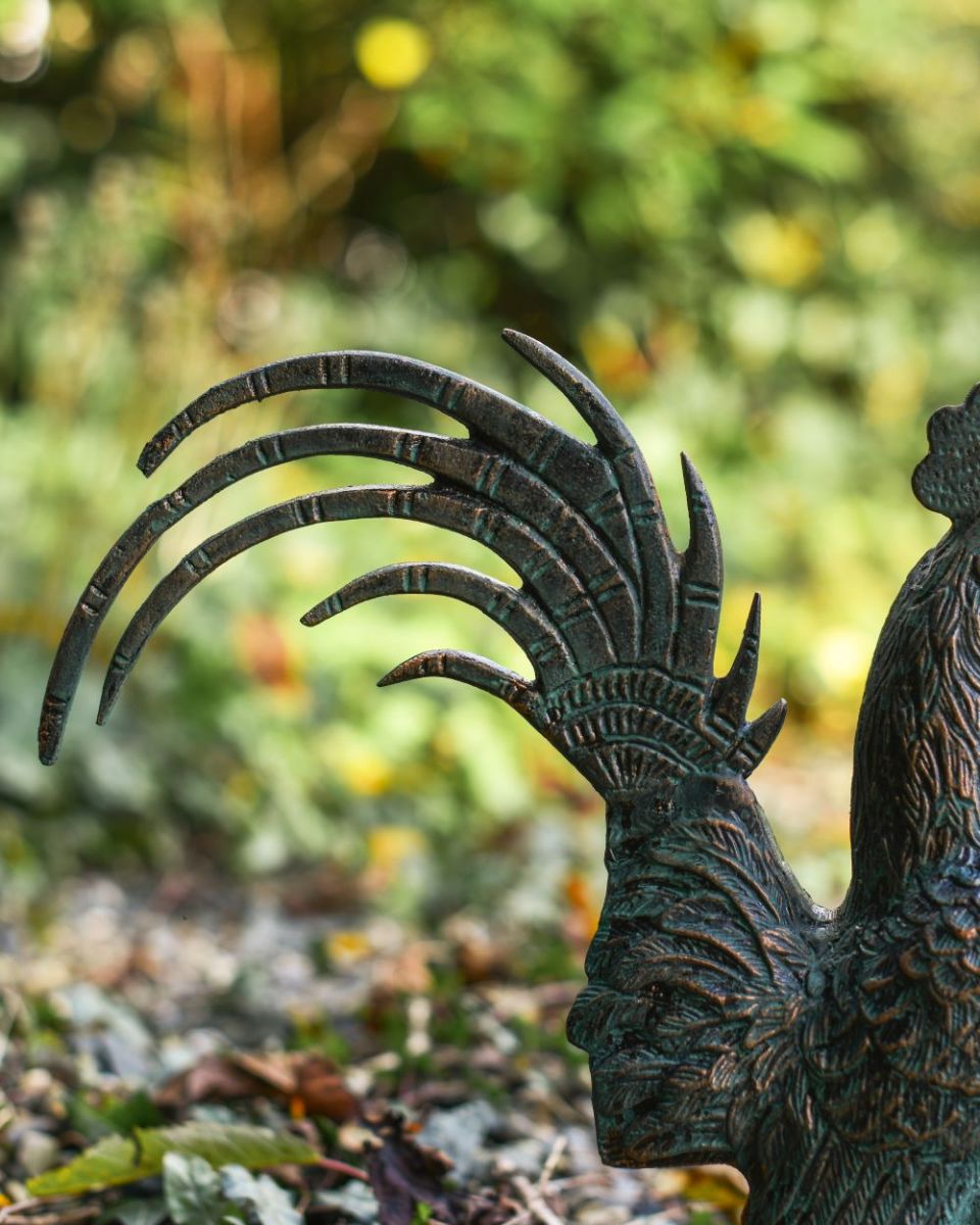 Close up of Verdigris Rooster tail