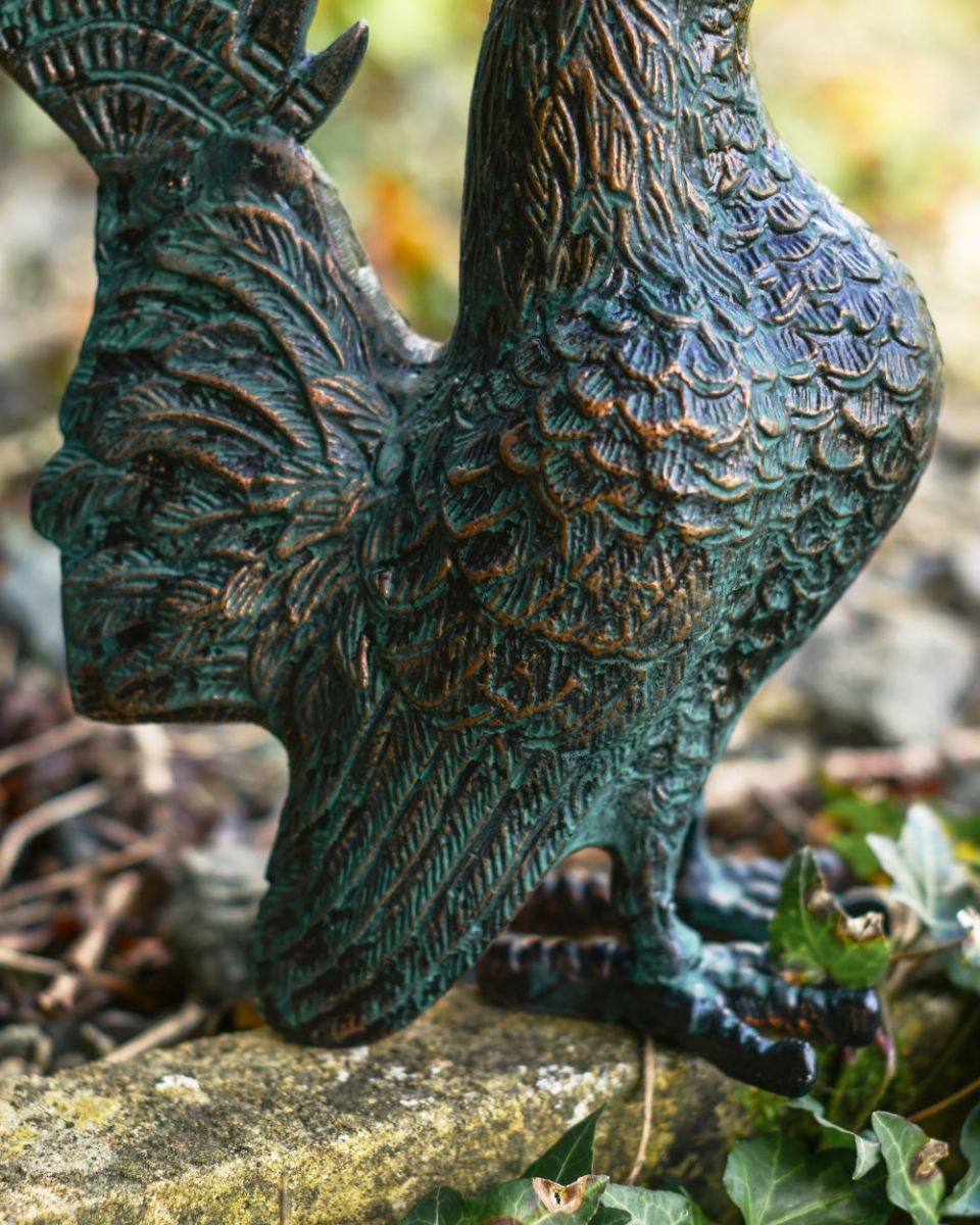 Close up of Verdigris Rooster wing 