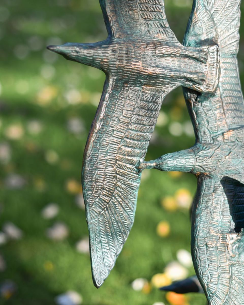 Close up of central seagulls 