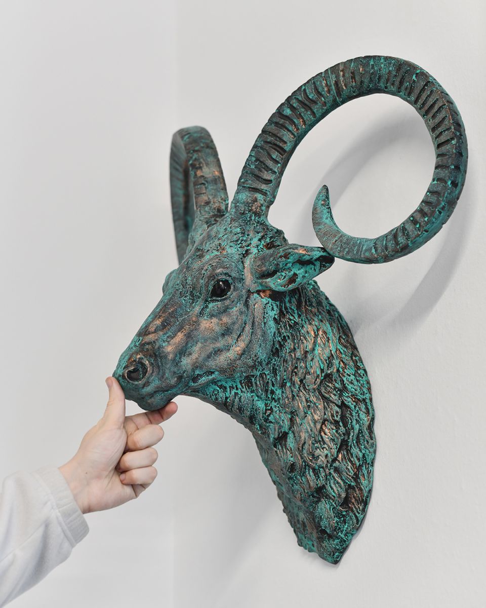 Mouflon Wall Bust to Scale