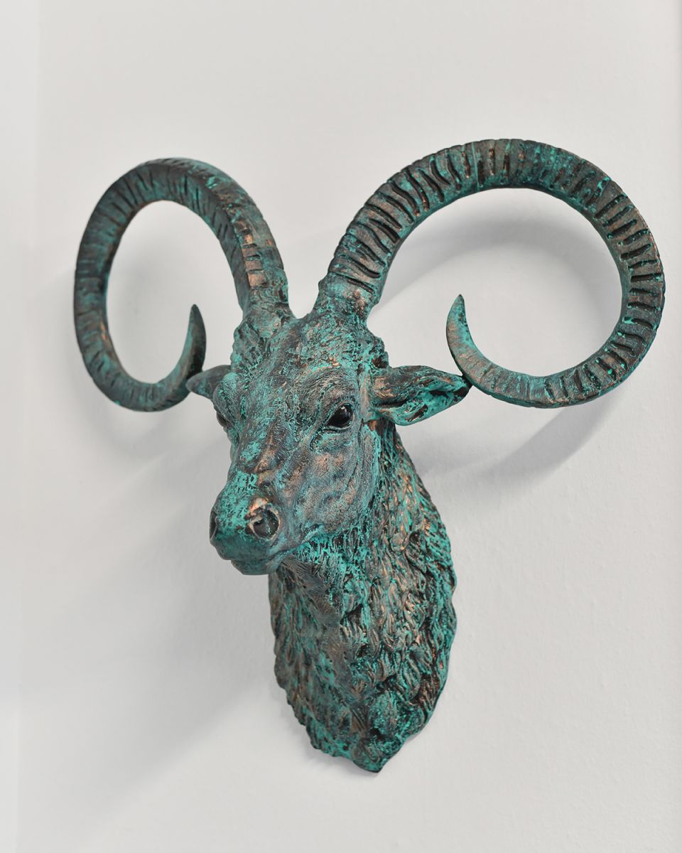 Verdigris Mouflon Wall Bust in Situ on a White Wall