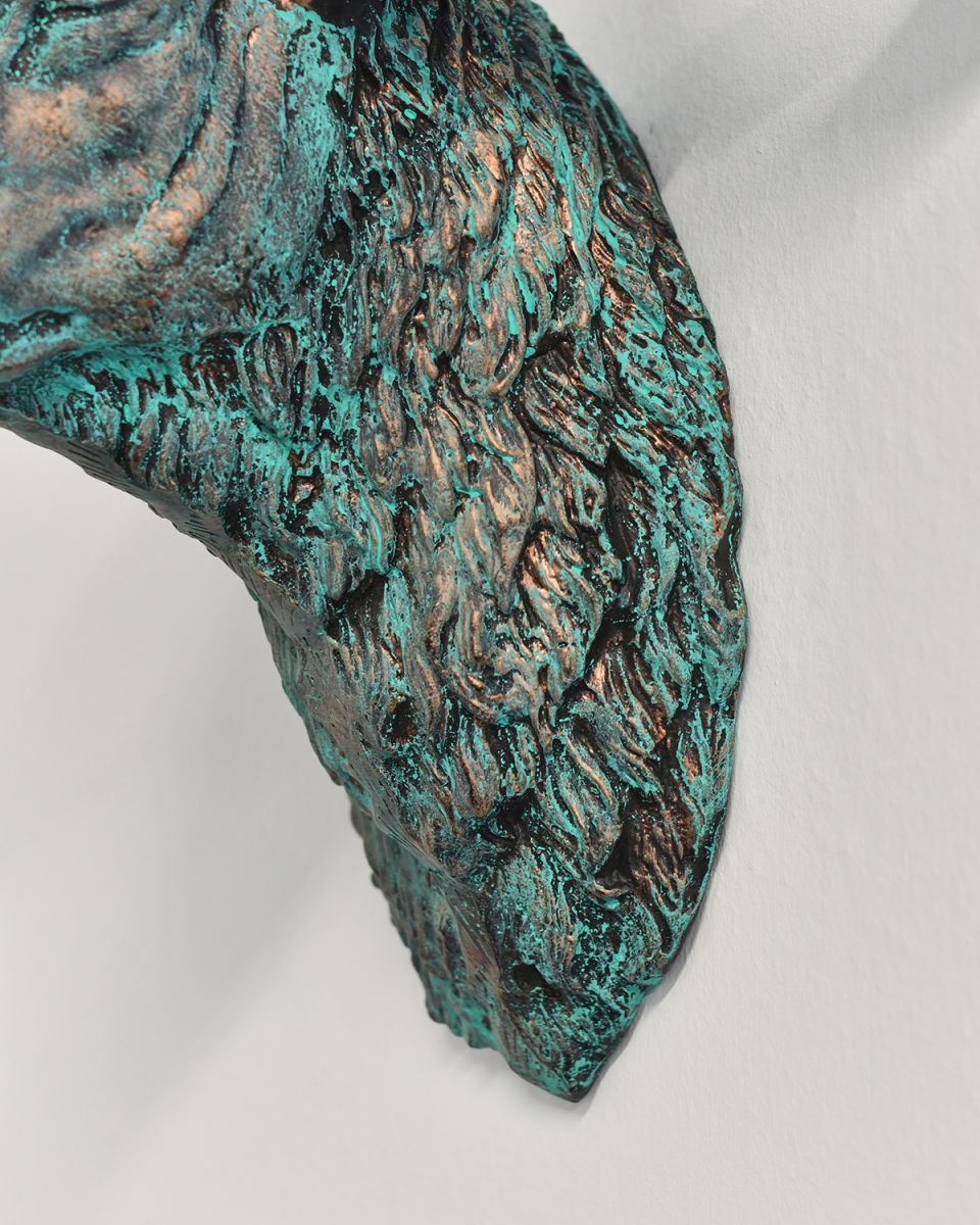 Close-up of the Detail of the Furon the Neck of the Mouflon Wall Bust