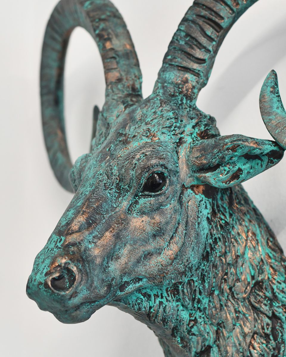 Close-up of the Detail on the Mouflon Wall Bust