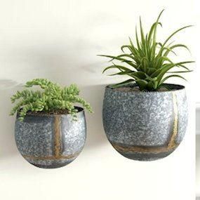 Wall Mounted Brass & Steel Wall Planters