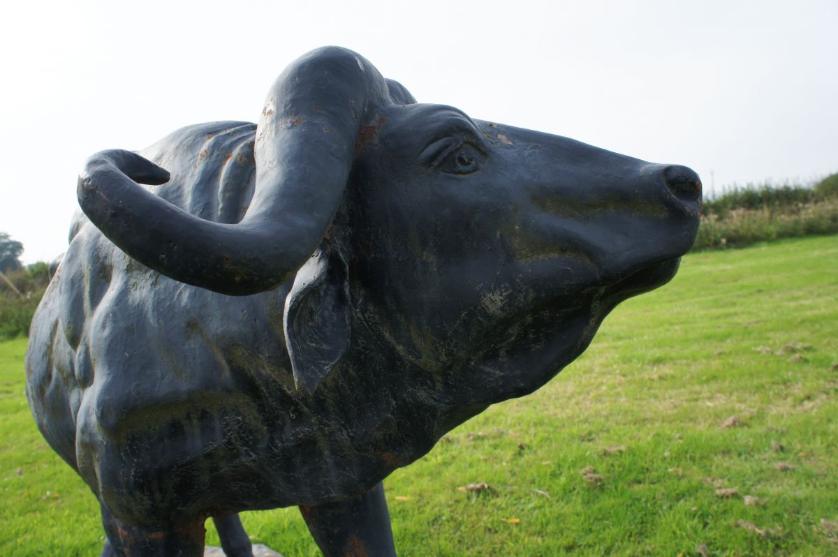 “Lanson Falls” Water Buffalo Garden Sculpture “Lanson Falls” Water Buffalo Garden Sculpture