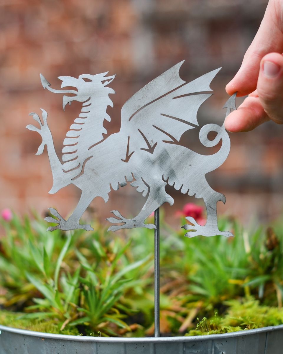 Welsh Dragon Artistic Plant Pot Spike - Set of Two with yand in shot for scale